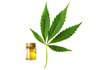 kanapės aliejus, sudarytas iš Cannabis oil
